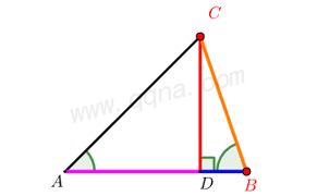 解三角形模型：两角一边(对边)