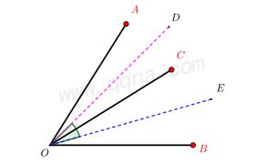 双角平分线和模型