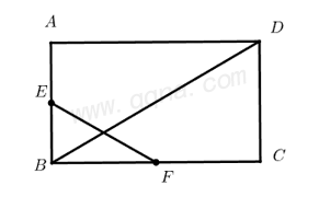 中位线模型典例5