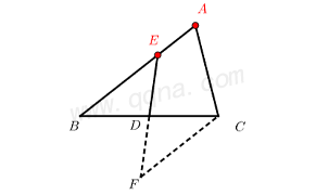 倍长类中线模型