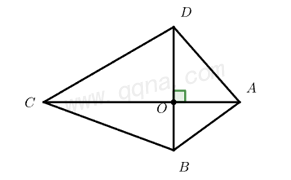 垂美四边形典例1